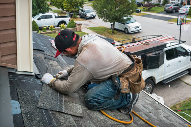 Professional Roof Inspection technician working in Preston, TX